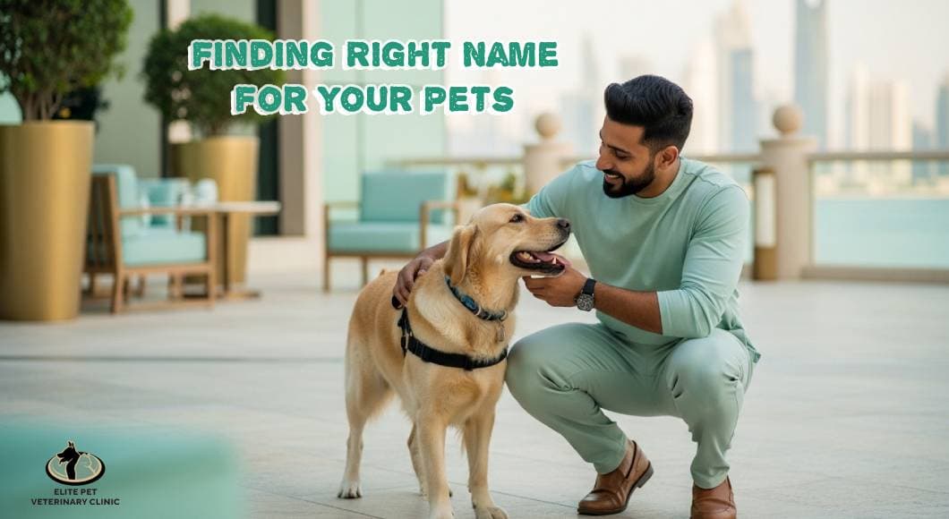 Finding the Right Pet Names for Your Companion in Qatar