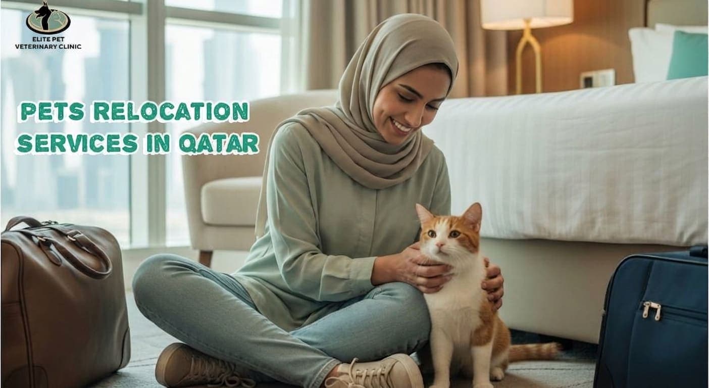 خدمات نقل الحيوانات الأليفة في قطر