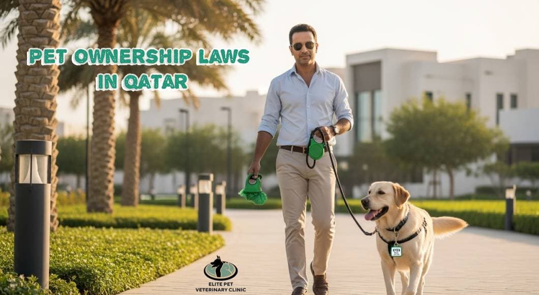 Your Guide to Pet Ownership Laws in Qatar