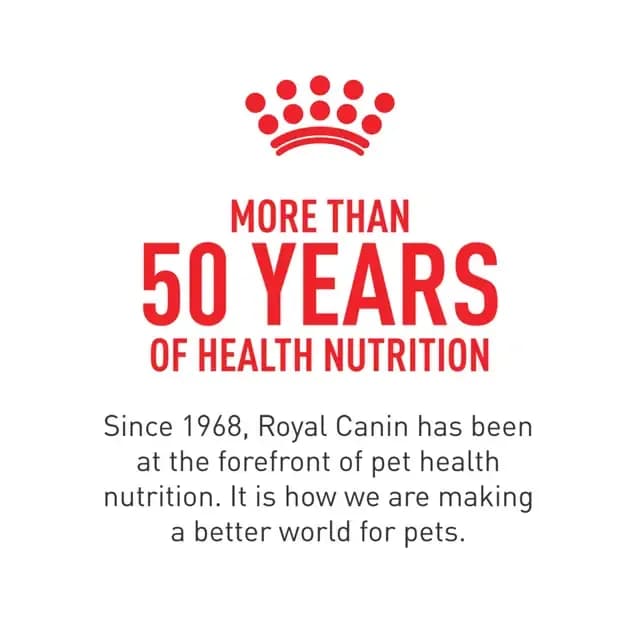 Royal Canin Digestive Care Thin Slices in Gravy for Cats