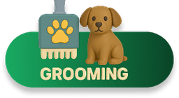 dog bath icon