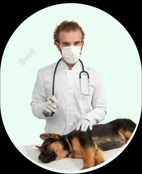 Pet care professional with happy pets
