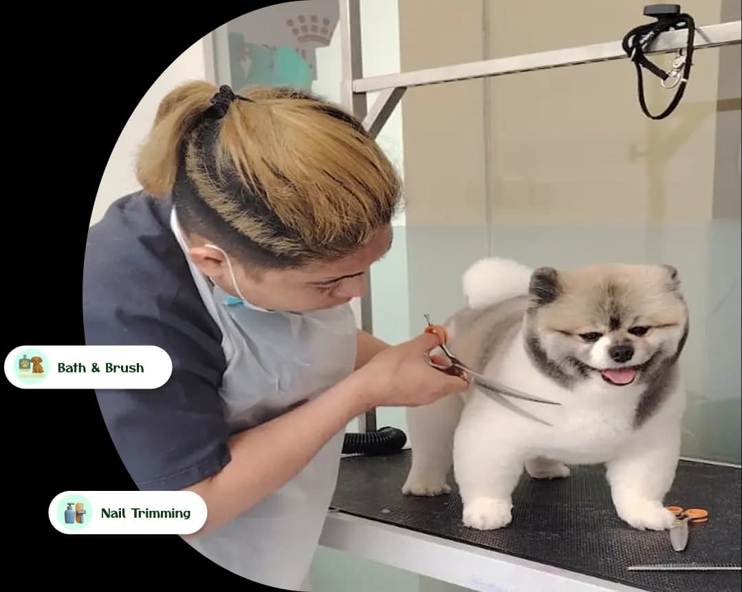 grooming service