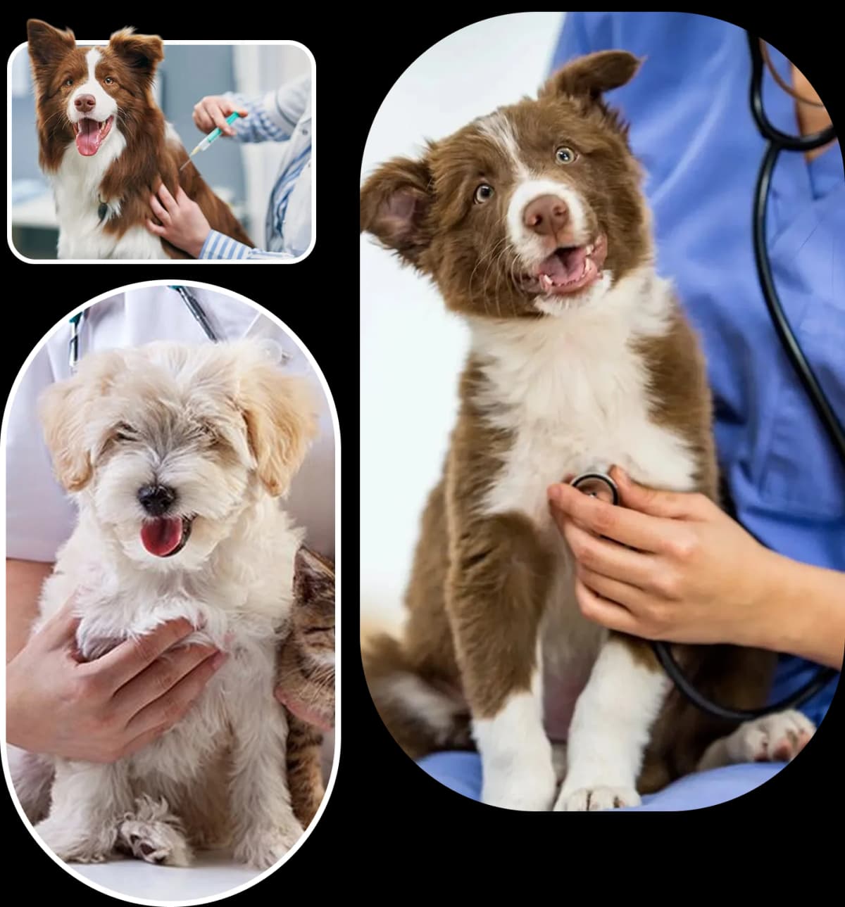 medical services luxury