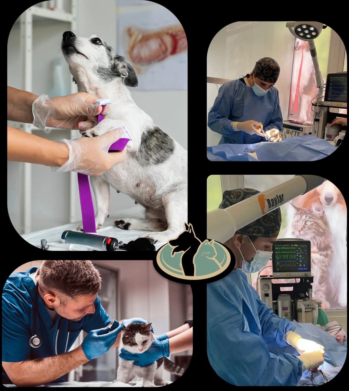 medical services presentation