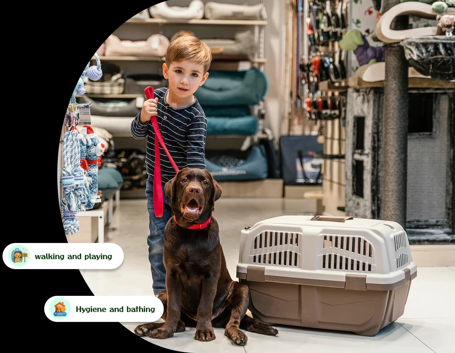pet boarding service