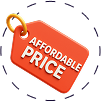 affordable icon