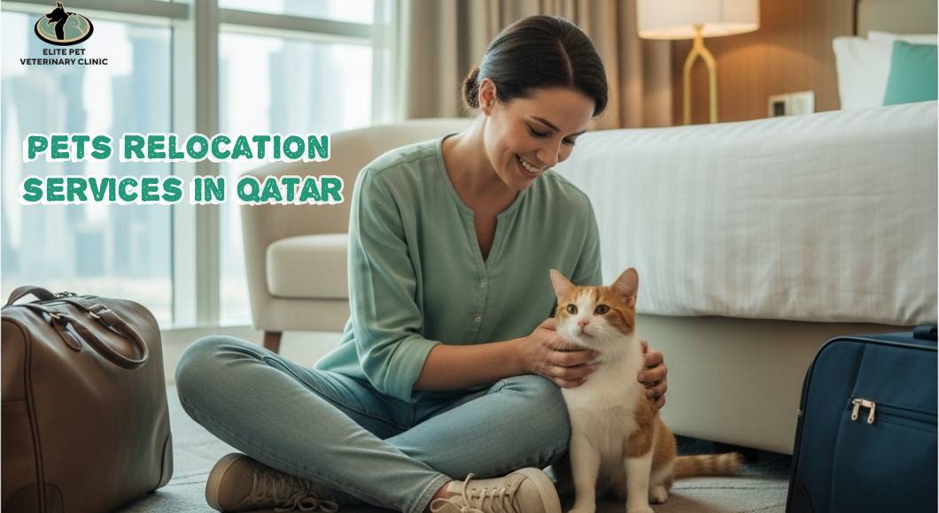 خدمات نقل الحيوانات الأليفة في قطر