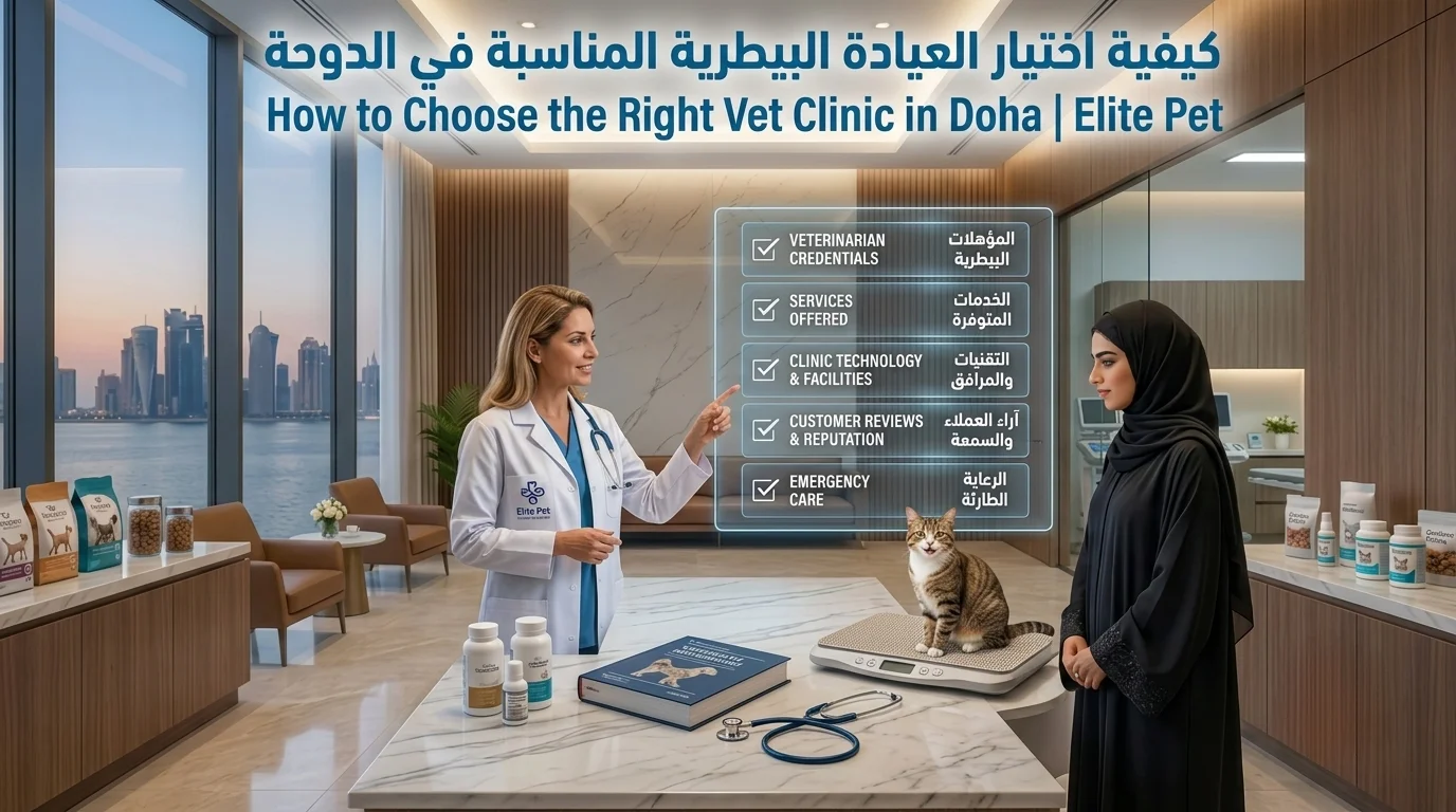 كيفية اختيار أفضل عيادة بيطرية في الدوحة: قائمة التحقق الكاملة لأصحاب الحيوانات الأليفة