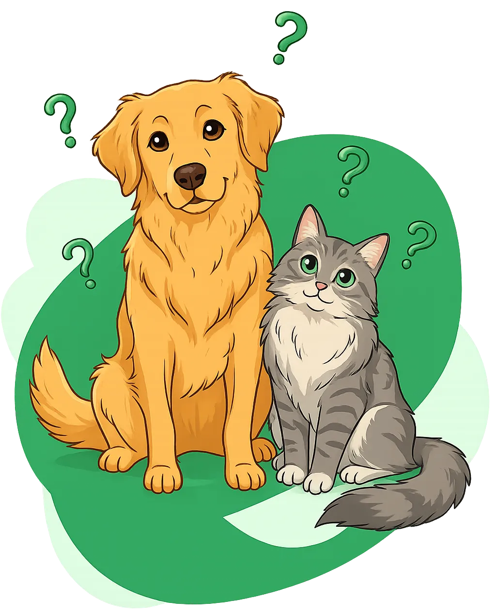 FAQ Illustration