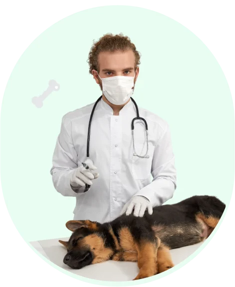 Pet care professional with happy pets