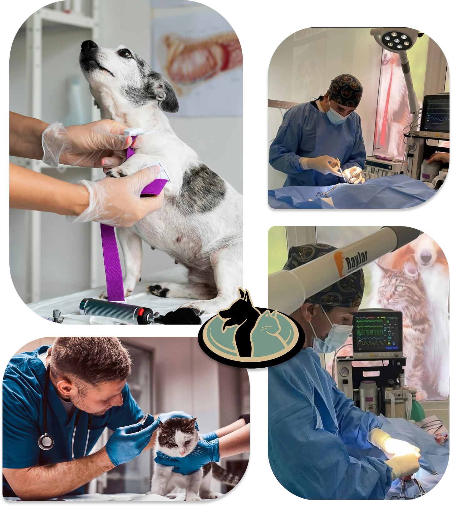 medical services presentation