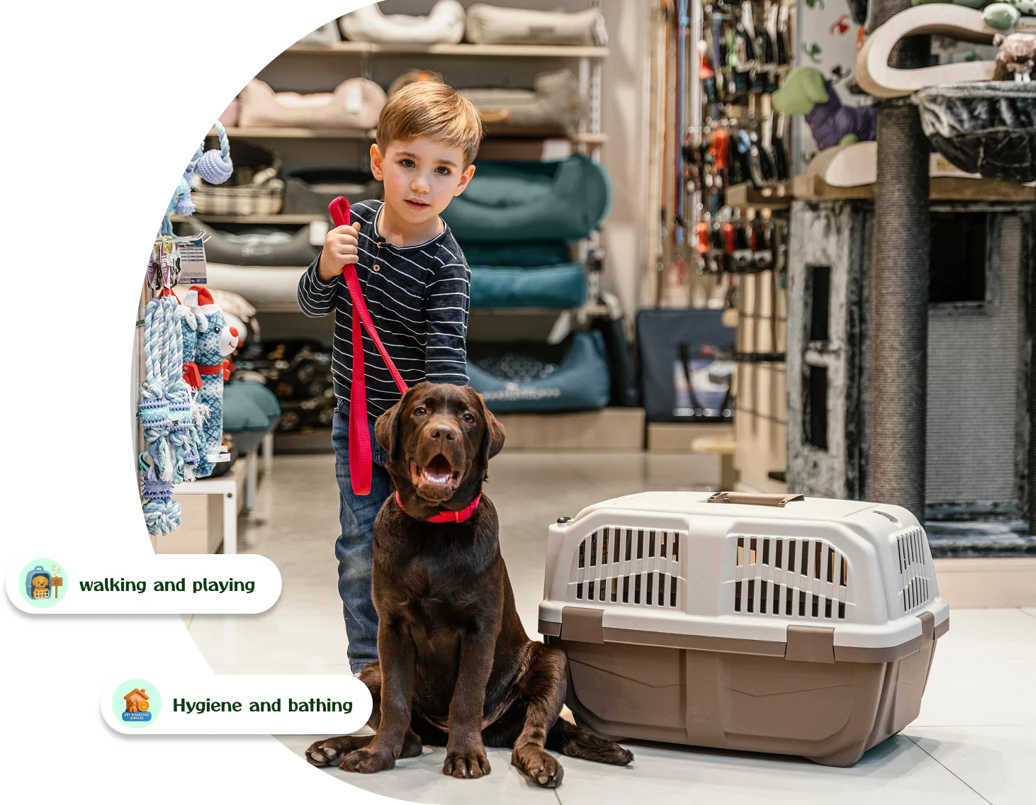 pet boarding service